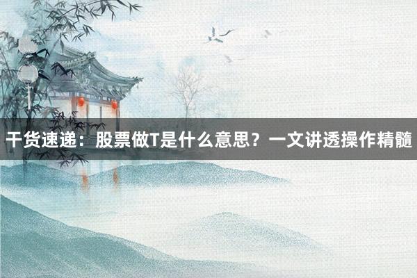 干货速递：股票做T是什么意思？一文讲透操作精髓