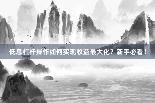 低息杠杆操作如何实现收益最大化？新手必看！