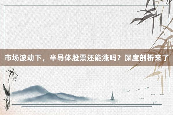 市场波动下，半导体股票还能涨吗？深度剖析来了