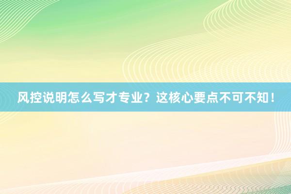 风控说明怎么写才专业？这核心要点不可不知！