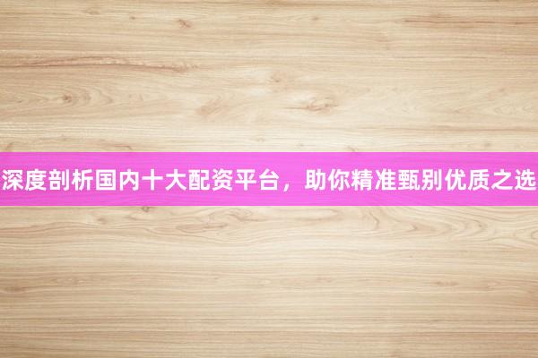 深度剖析国内十大配资平台，助你精准甄别优质之选