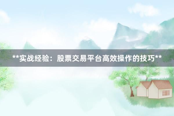 **实战经验：股票交易平台高效操作的技巧**