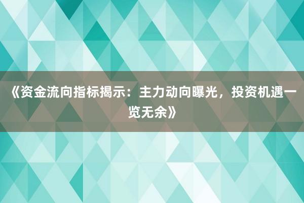 《资金流向指标揭示：主力动向曝光，投资机遇一览无余》