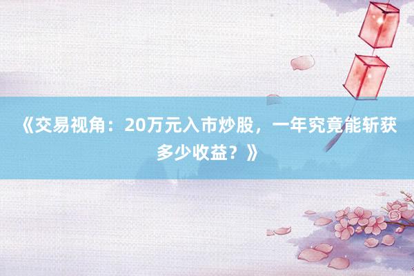 《交易视角：20万元入市炒股，一年究竟能斩获多少收益？》