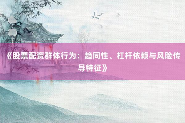 《股票配资群体行为：趋同性、杠杆依赖与风险传导特征》