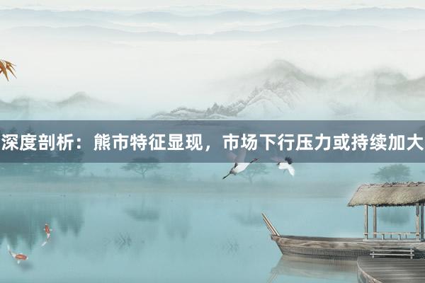 深度剖析：熊市特征显现，市场下行压力或持续加大