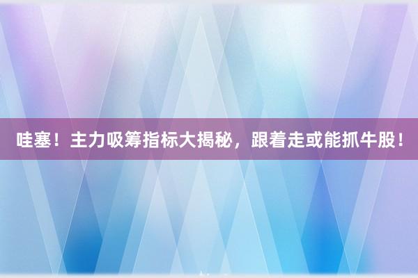 哇塞！主力吸筹指标大揭秘，跟着走或能抓牛股！
