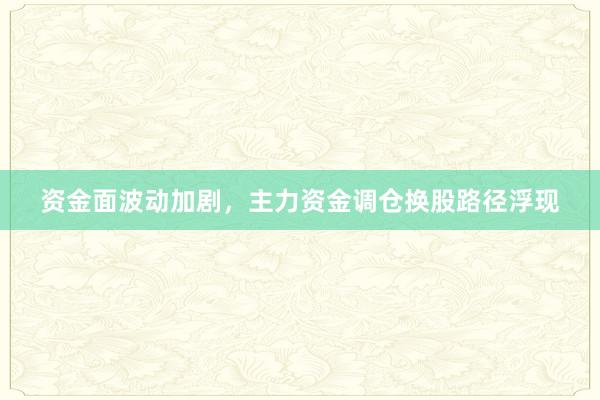 资金面波动加剧，主力资金调仓换股路径浮现