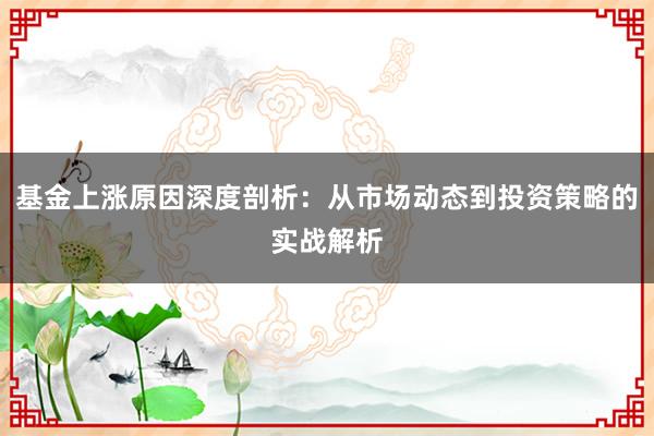 基金上涨原因深度剖析：从市场动态到投资策略的实战解析