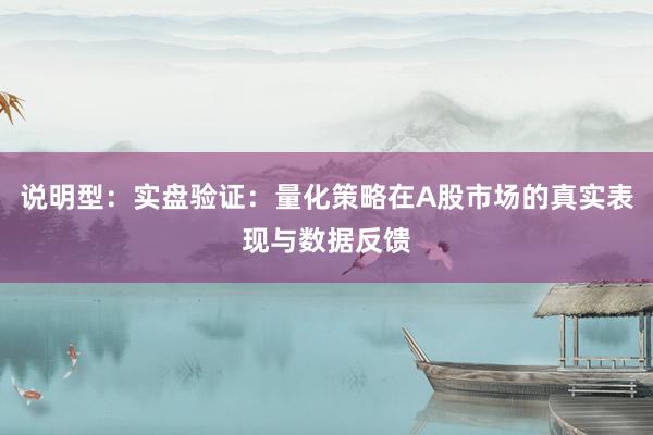 说明型：实盘验证：量化策略在A股市场的真实表现与数据反馈