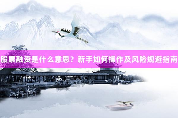 股票融资是什么意思？新手如何操作及风险规避指南
