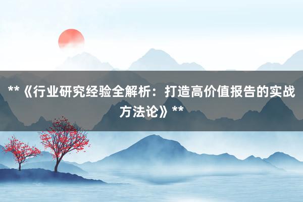 **《行业研究经验全解析：打造高价值报告的实战方法论》**