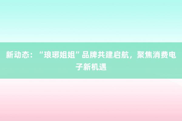 新动态:“琅琊姐姐”品牌共建启航,聚焦消费电子新机遇