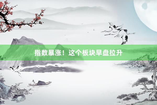 指数暴涨！这个板块早盘拉升